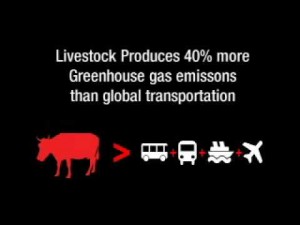 meat-eating-green-house-gases