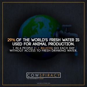 meat-eating-water-shortage